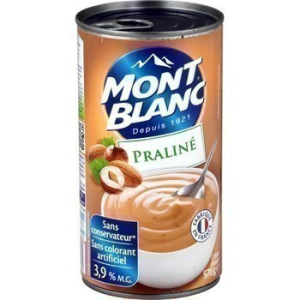 Crème dessert au praliné 570 g