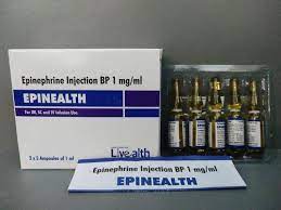 Epinéphrine – Image 4