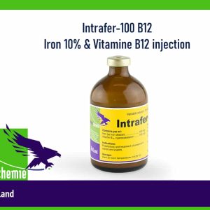 Intrafer 100-B12