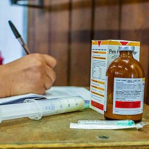 Services & Traitements Veterinaire (RTV)