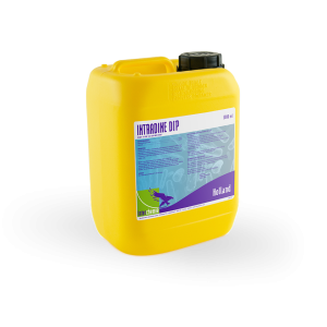 Intradine Dip à base de biosides de chlorhexidine