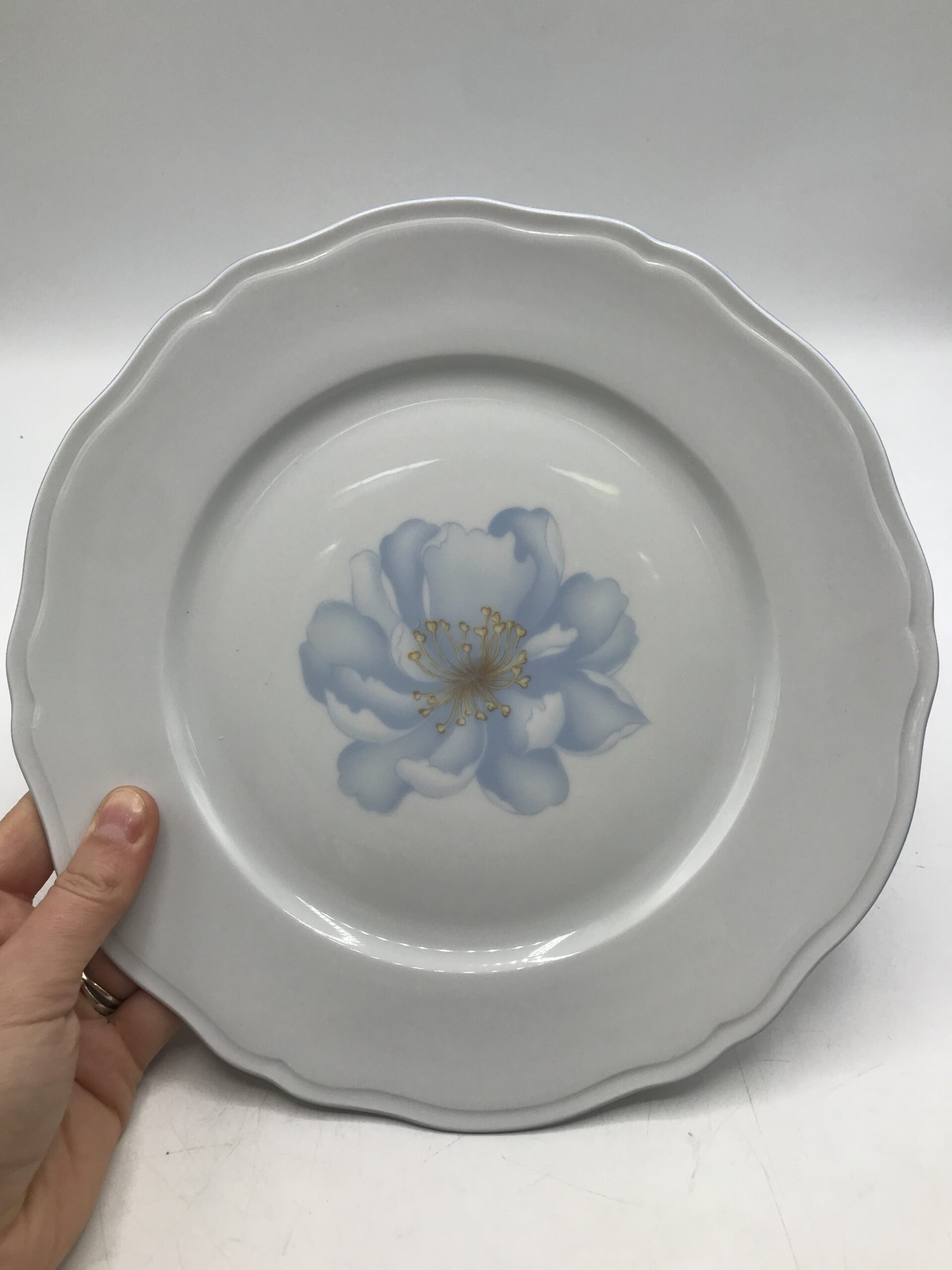 Lot de 8 assiettes Lourioux – Image 3