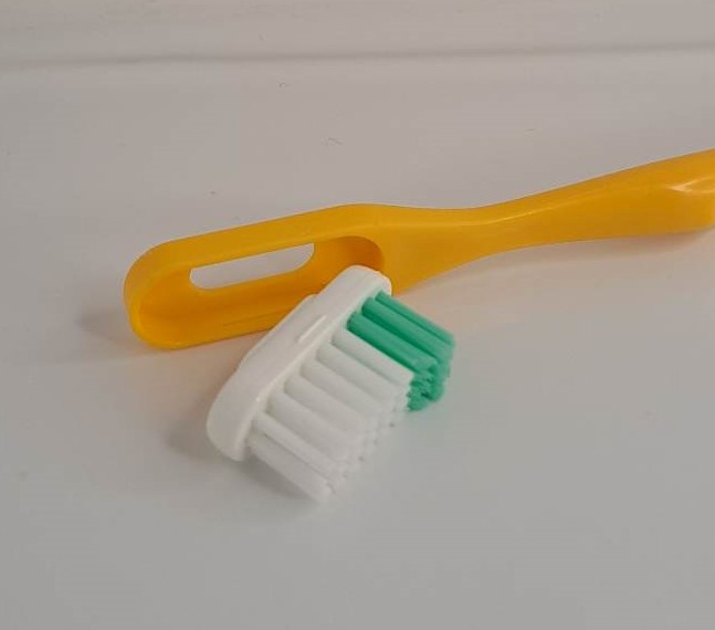 Brosse à dents – Tête Medium